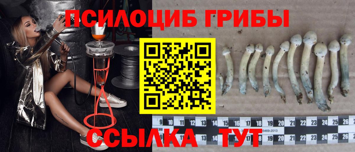 Галлюциногенные грибы ЛСД Фурманов