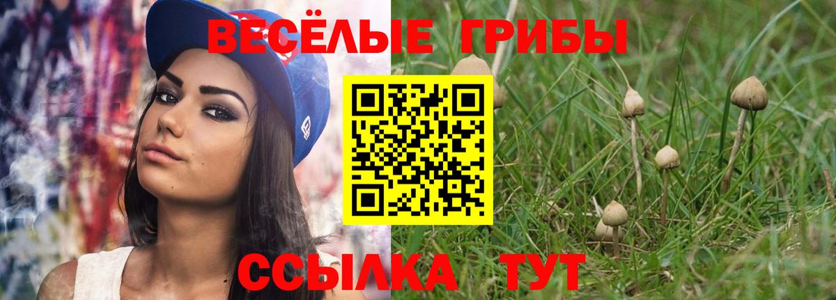 Галлюциногенные грибы Psilocybine cubensis  Вход с VPN  Фурманов  Псилоцибиновые грибы Magic Shrooms 